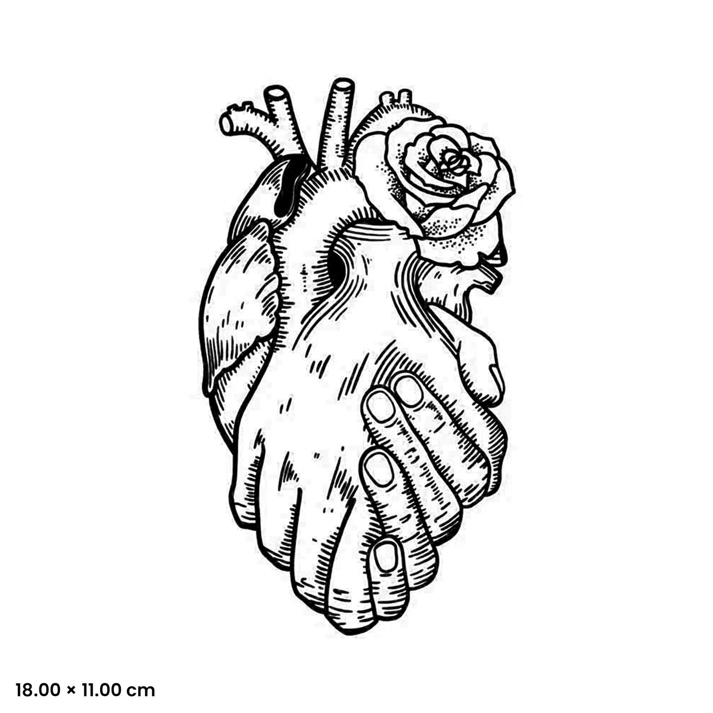 KT-037 hand photo